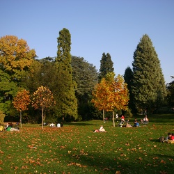 Parc tête d'or - 19-10-2008